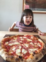IMG_2530.jpeg IMG_2530.jpeg