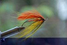 dave_s_flies_040.jpg dave_s_flies_040.jpg