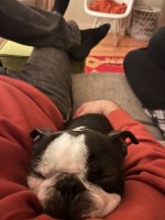 IMG_3438.jpeg