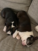 IMG_3460.jpeg