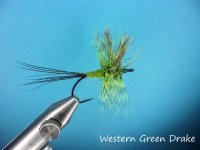 Western Green Drake.jpg