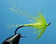 Kilchis Killer 1080.JPG