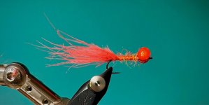 IMG_6685.jpeg