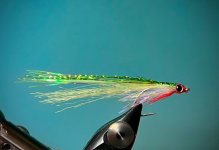 IMG_6684.jpeg