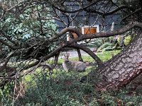 IMG_3443.jpeg