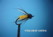Steelhead Caddis.jpg