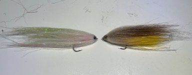 MINNOW1.jpg