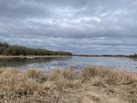 IMG_4178.jpeg