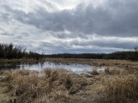 IMG_4179.jpeg