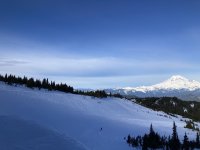 IMG_4746.jpeg IMG_4746.jpeg