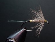 Old Blue Dun 2 1080.JPG