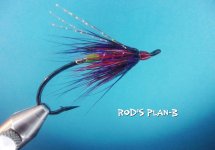 Rod's Plan B.jpg