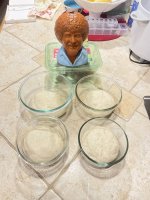 IMG_8288.jpeg