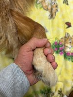 IMG_5651.jpeg