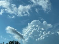 IMG_4437.jpeg