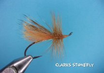 Clarks Stonefly.jpg