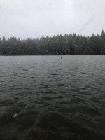 IMG_4241.jpeg IMG_4241.jpeg