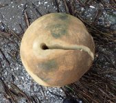 IMG_0691.jpeg