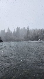 20250201_120234.jpg 20250201_120234.jpg