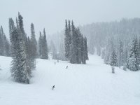 1000005085.jpg