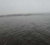 IMG_0720.jpeg IMG_0720.jpeg
