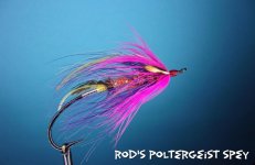 rods polterguise.jpg