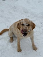 IMG_4102.jpg
