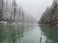 IMG_4200.jpeg