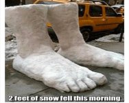 IMG_7835.jpeg