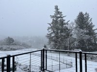 DLakeFeb4snow.jpg