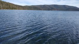 IMG_20241015_102455250 (1).jpg