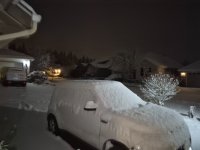 20250205_062233.jpg