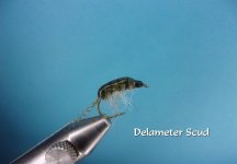 Delemeter Scud.jpg