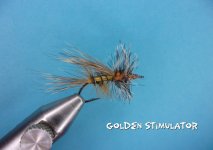 Golden Stimulator.jpg