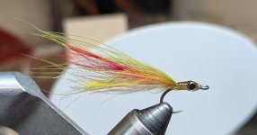 PXL_20250206_184906381.jpg