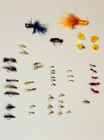IMG_1982.jpeg