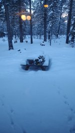 IMG_20250207_073110130.jpg