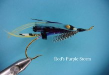 rods purple storm.jpg