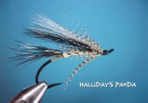 Halliday's Panda.jpg