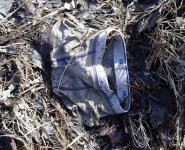 IMG_0790.jpeg