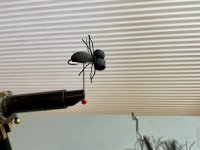 IMG_0058.jpeg