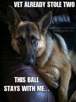 FB_IMG_1739330663804.jpg