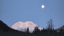 20250211_174635.jpg