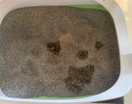 IMG_6960.jpeg