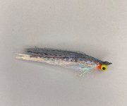 IMG_0856.jpeg
