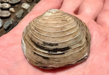 IMG_5217.jpeg