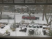 IMG_6964.jpeg