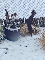 IMG_6966.jpeg