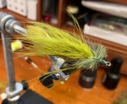 IMG_3494.jpeg