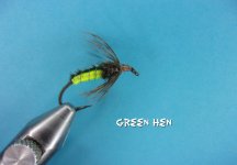 Green Hen.jpg